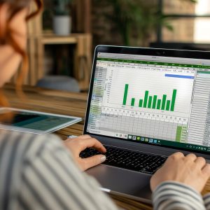 EXCEL BÁSICO